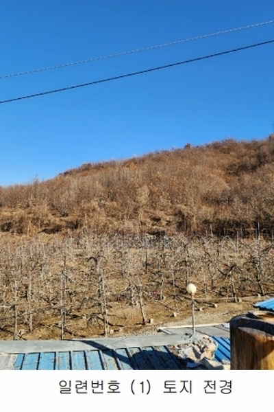 2024타경36141 충청북도 음성군 음성읍 소여리 509-3 임야 경매 이미지