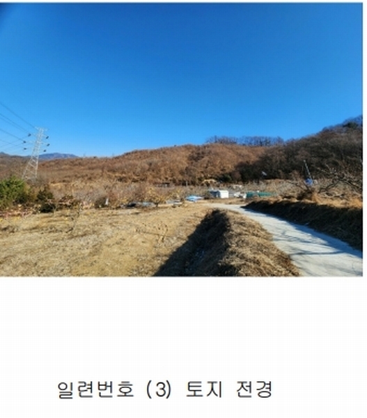 2024타경36141 충청북도 음성군 음성읍 소여리 509-3 임야 경매 이미지