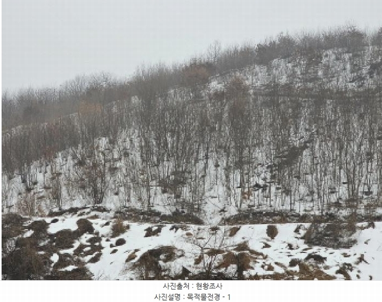 2024타경36141 충청북도 음성군 음성읍 소여리 509-3 임야 경매 이미지