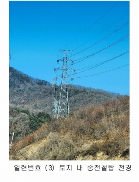 2024타경36141 충청북도 음성군 음성읍 소여리 509-3 임야 경매 이미지