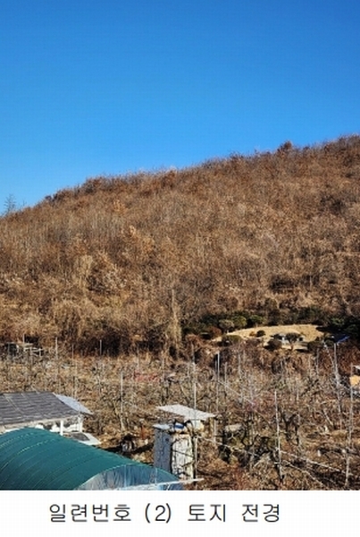 2024타경36141 충청북도 음성군 음성읍 소여리 509-3 임야 경매 이미지
