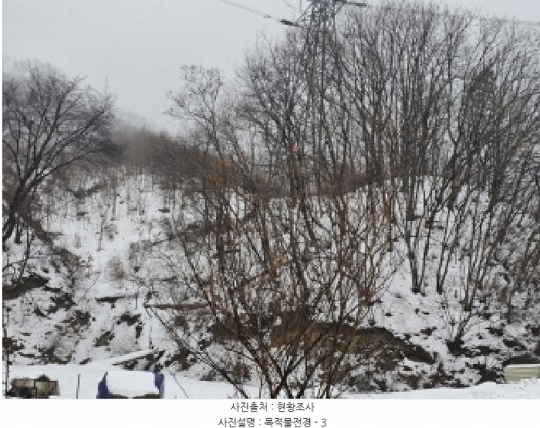 2024타경36141 충청북도 음성군 음성읍 소여리 509-3 임야 경매 이미지
