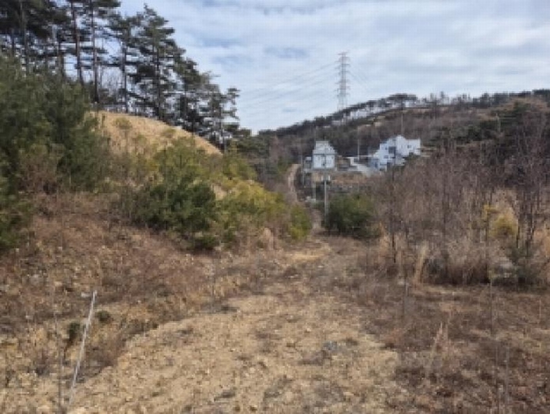 2025타경10238 경상북도 경주시 양남면 신대리 7 임야 경매 이미지