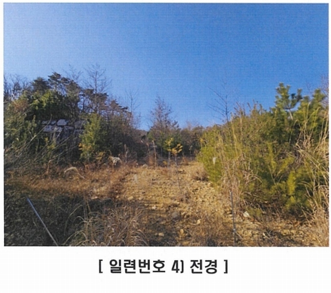 2025타경10238 경상북도 경주시 양남면 신대리 7 임야 경매 이미지