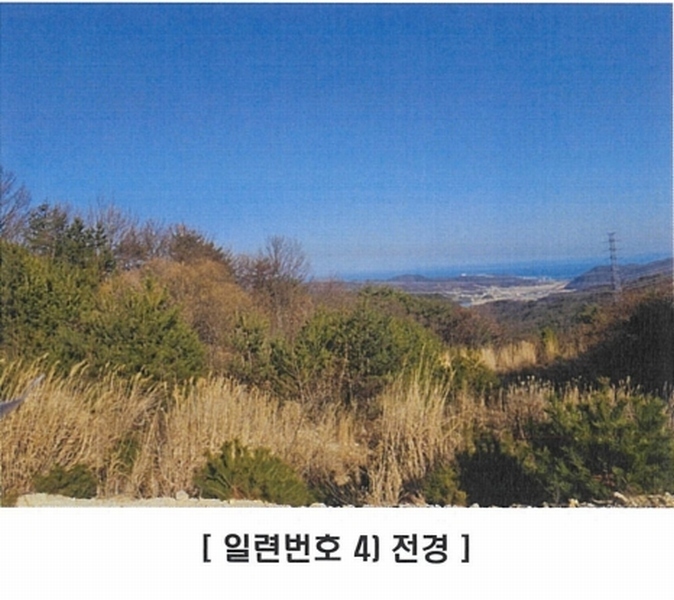 2025타경10238 경상북도 경주시 양남면 신대리 7 임야 경매 이미지