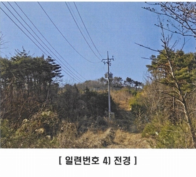 2025타경10238 경상북도 경주시 양남면 신대리 7 임야 경매 이미지