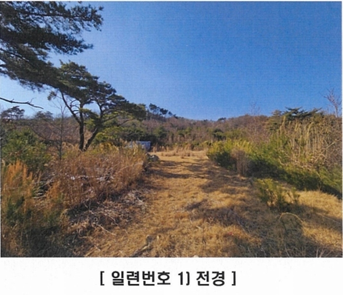 2025타경10238 경상북도 경주시 양남면 신대리 7 임야 경매 이미지