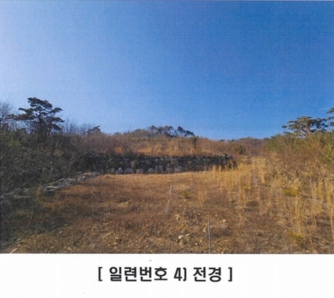2025타경10238 경상북도 경주시 양남면 신대리 7 임야 경매 이미지