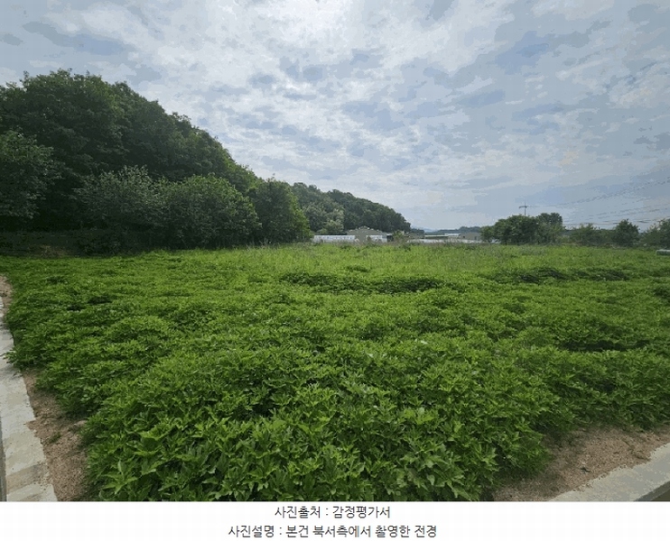 2025타경996 충청북도 충주시 금가면 오석리 363-2 농지 경매 이미지