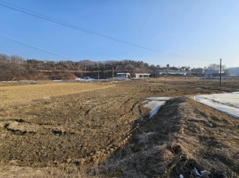 2025타경30195 충청북도 음성군 삼성면 대야리 121-2 농지 경매 이미지