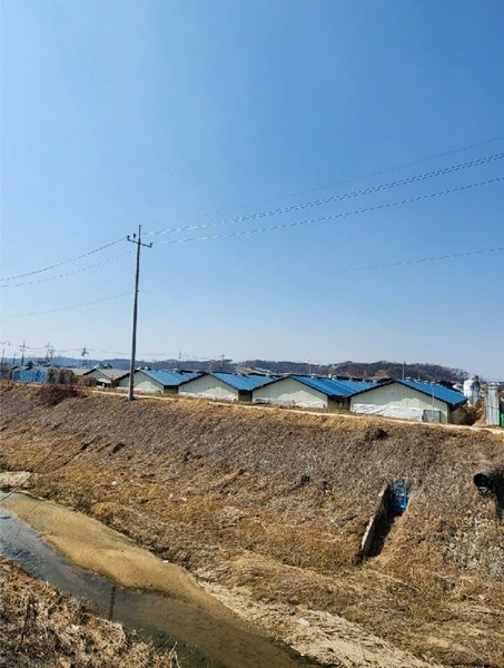 2025타경30358 충청북도 음성군 대소면 수태리 184 농가관련시설 경매 이미지
