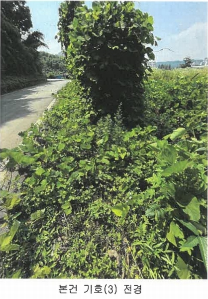 2025타경30922 경상남도 진주시 내동면 독산리 520-7 농지 경매 이미지