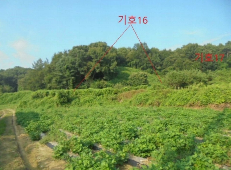 2023타경2653 충청북도 음성군 생극면 관성리 816-1 임야 경매 이미지