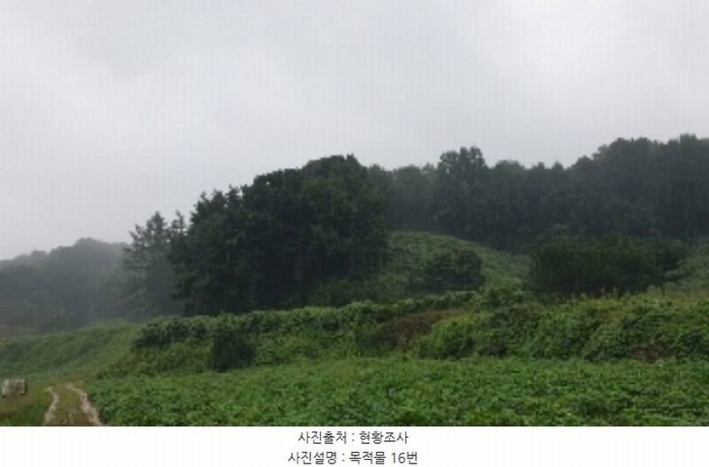 2023타경2653 충청북도 음성군 생극면 관성리 816-1 임야 경매 이미지