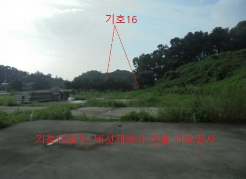 2023타경2653 충청북도 음성군 생극면 관성리 816-1 임야 경매 이미지