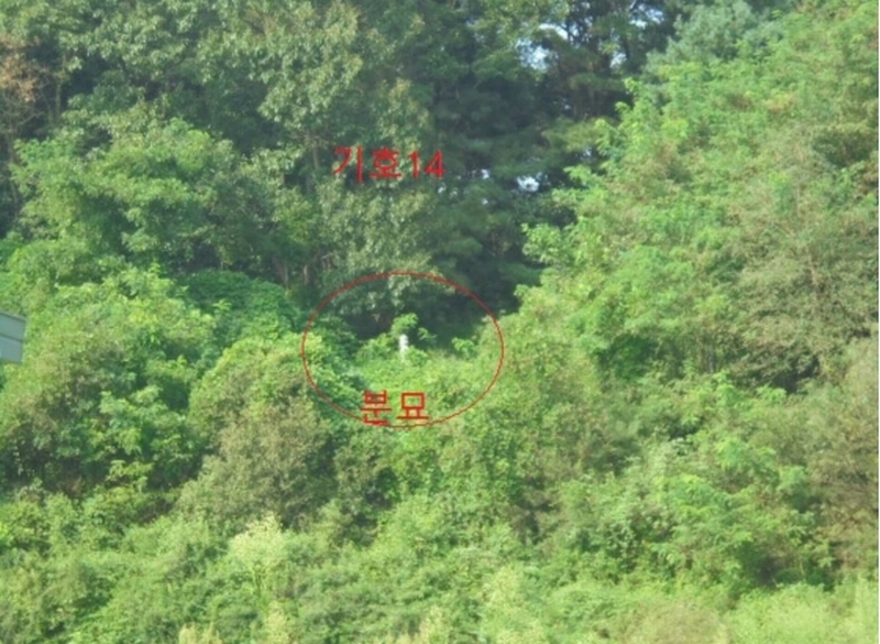 2023타경2653 충청북도 음성군 생극면 관성리 816-1 임야 경매 이미지