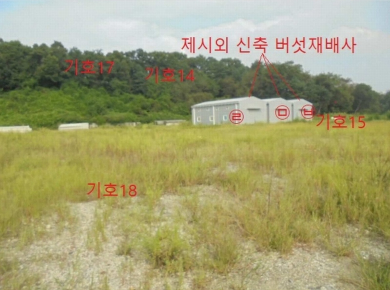 2023타경2653 충청북도 음성군 생극면 관성리 816-1 임야 경매 이미지