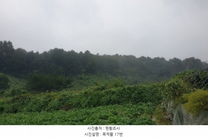2023타경2653 충청북도 음성군 생극면 관성리 816-1 임야 경매 이미지