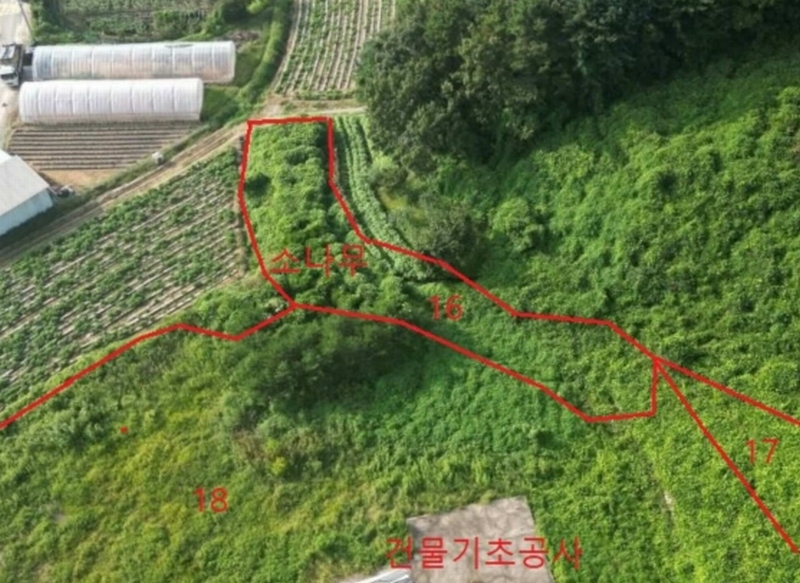 2023타경2653 충청북도 음성군 생극면 관성리 816-1 임야 경매 이미지