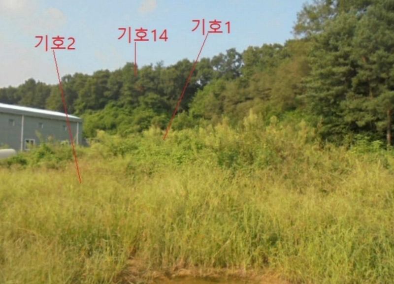 2023타경2653 충청북도 음성군 생극면 관성리 816-1 임야 경매 이미지