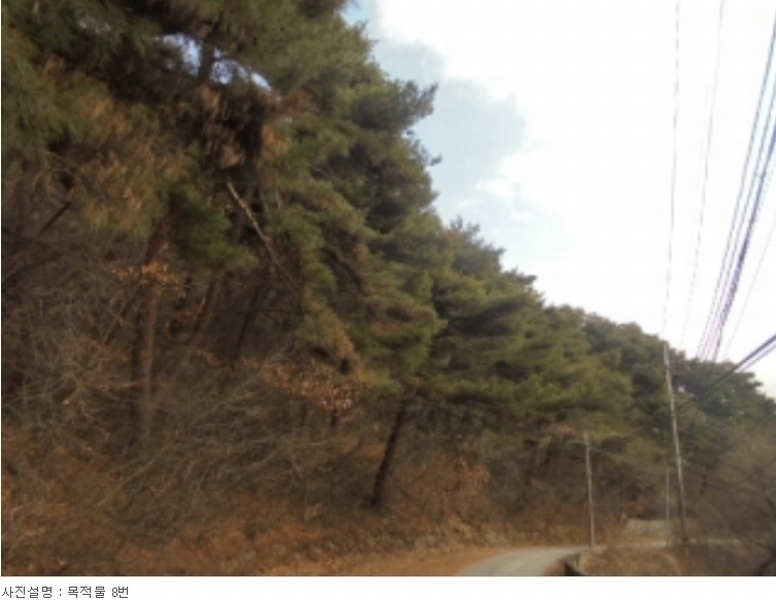 2024타경319 충청북도 음성군 음성읍 용산리 산11-23 임야 경매 이미지