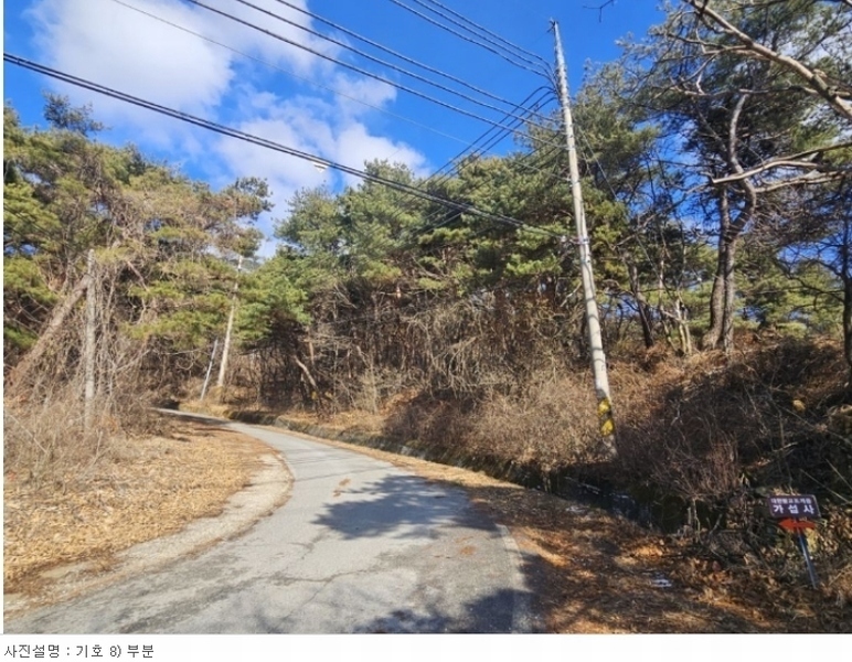2024타경319 충청북도 음성군 음성읍 용산리 산11-23 임야 경매 이미지