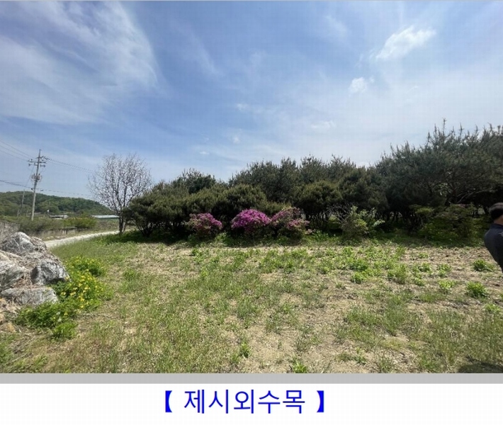 2024타경1169 충청북도 충주시 노은면 대덕리 149-7 농지 경매 이미지