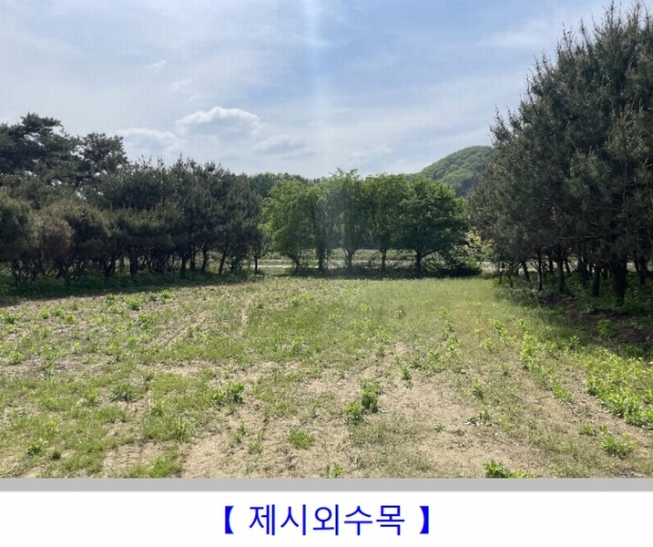 2024타경1169 충청북도 충주시 노은면 대덕리 149-7 농지 경매 이미지
