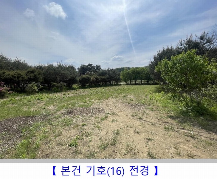2024타경1169 충청북도 충주시 노은면 대덕리 149-7 농지 경매 이미지