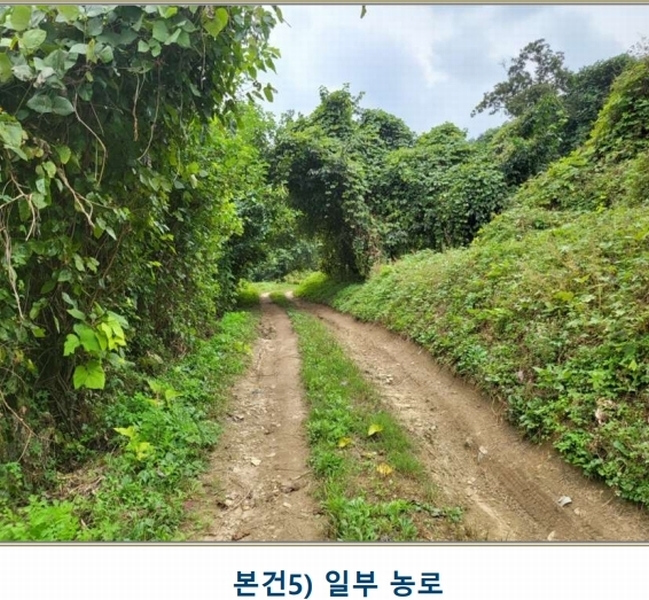 2024타경3646 충청북도 충주시 앙성면 중전리 750 농지 경매 이미지