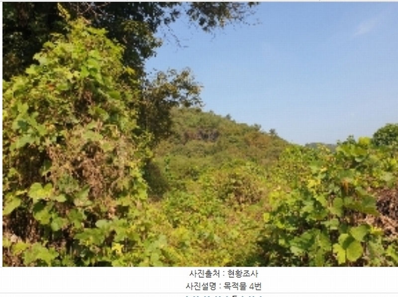2024타경3646 충청북도 충주시 앙성면 중전리 750 농지 경매 이미지