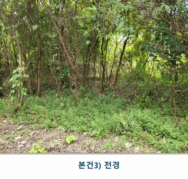 2024타경3646 충청북도 충주시 앙성면 중전리 750 농지 경매 이미지