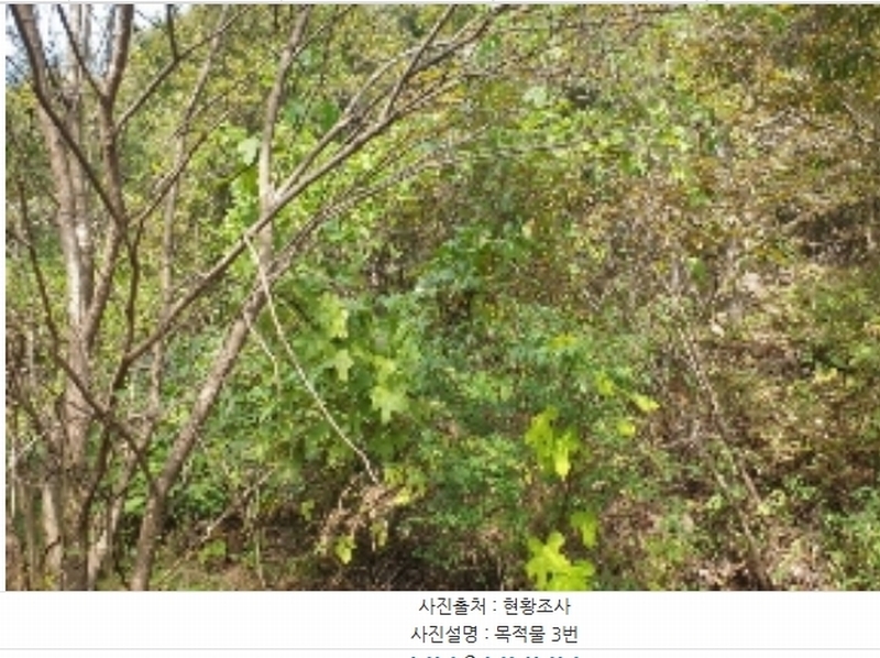 2024타경3646 충청북도 충주시 앙성면 중전리 750 농지 경매 이미지