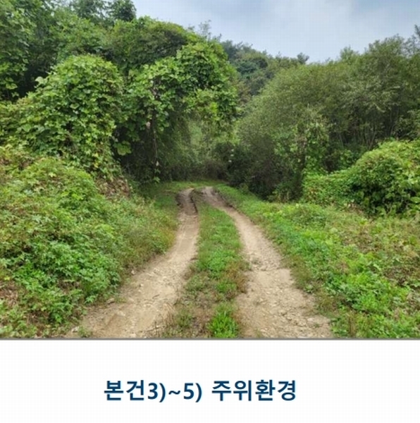 2024타경3646 충청북도 충주시 앙성면 중전리 750 농지 경매 이미지
