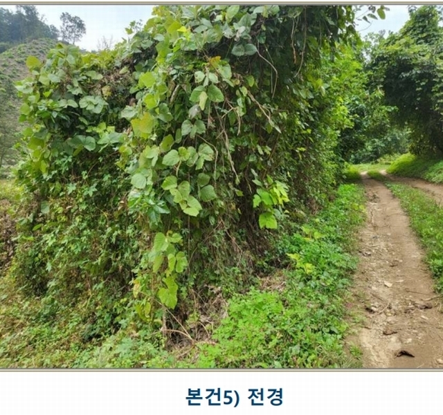 2024타경3646 충청북도 충주시 앙성면 중전리 750 농지 경매 이미지
