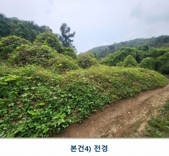 2024타경3646 충청북도 충주시 앙성면 중전리 750 농지 경매 이미지