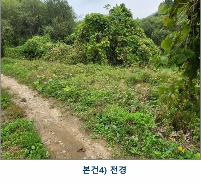 2024타경3646 충청북도 충주시 앙성면 중전리 750 농지 경매 이미지