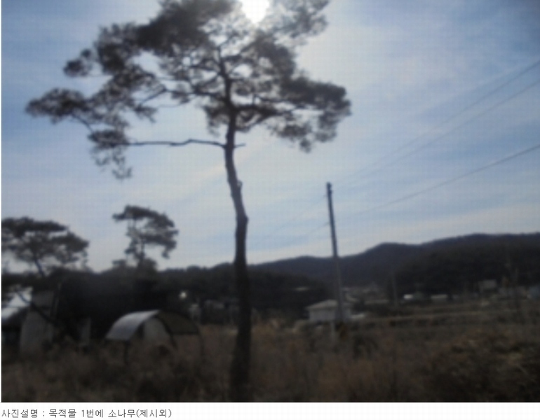 2024타경31078 충청북도 충주시 앙성면 조천리 46-2 주택 경매 이미지