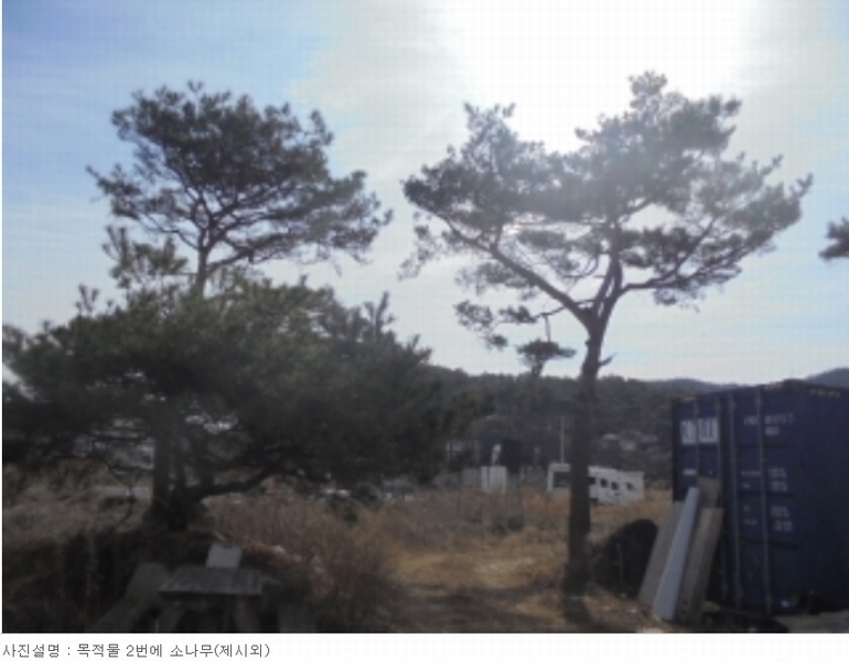 2024타경31078 충청북도 충주시 앙성면 조천리 46-2 주택 경매 이미지