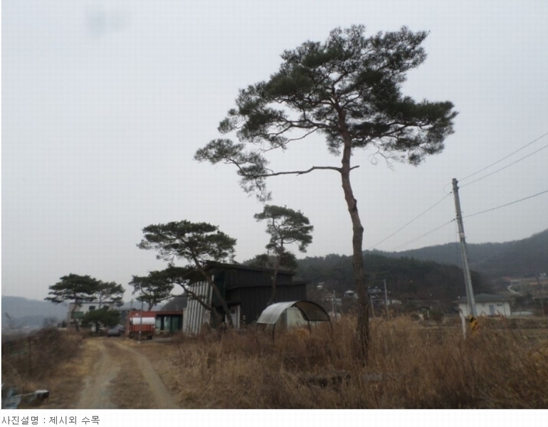 2024타경31078 충청북도 충주시 앙성면 조천리 46-2 주택 경매 이미지