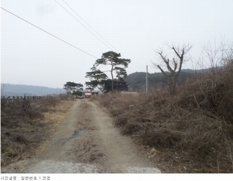 2024타경31078 충청북도 충주시 앙성면 조천리 46-2 주택 경매 이미지