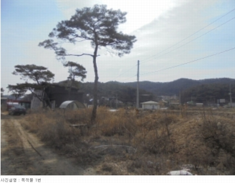 2024타경31078 충청북도 충주시 앙성면 조천리 46-2 주택 경매 이미지