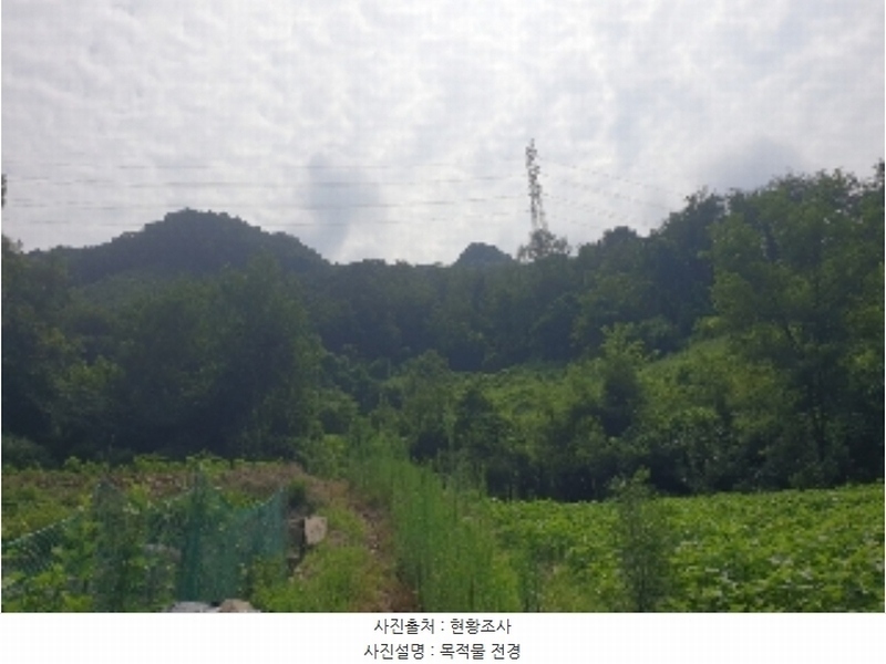 2024타경33678 충청북도 충주시 살미면 향산리 588 농지 경매 이미지