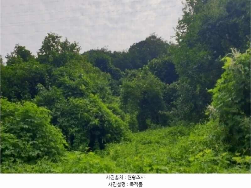 2024타경33678 충청북도 충주시 살미면 향산리 588 농지 경매 이미지