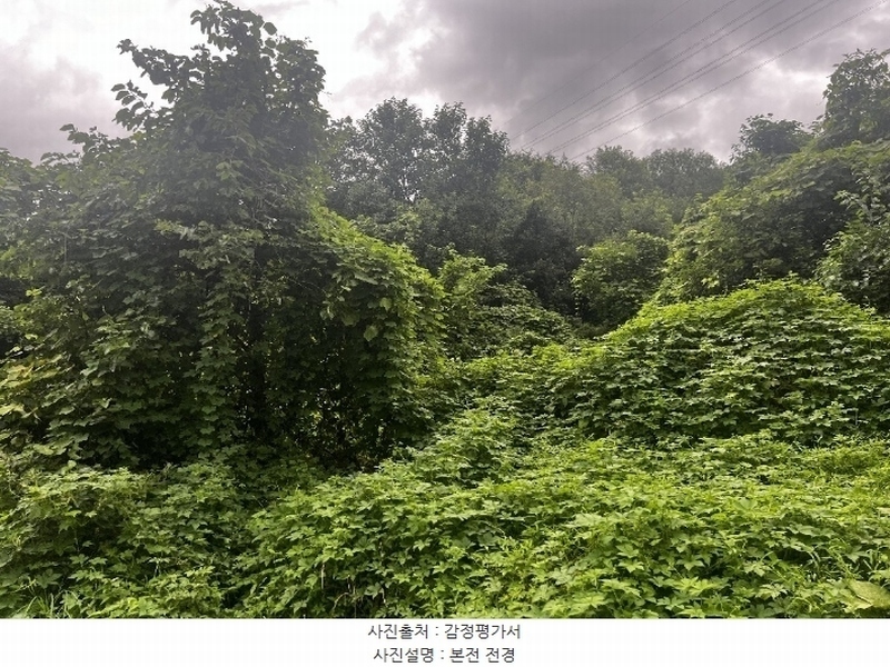 2024타경33678 충청북도 충주시 살미면 향산리 588 농지 경매 이미지