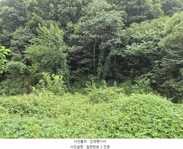 2024타경34572 충청북도 충주시 수안보면 고운리 230 농지 경매 이미지