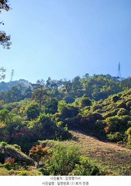 2024타경35155 충청북도 충주시 살미면 세성리 산19-3 임야 경매 이미지