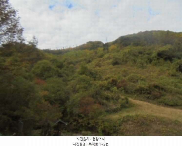 2024타경35155 충청북도 충주시 살미면 세성리 산19-3 임야 경매 이미지