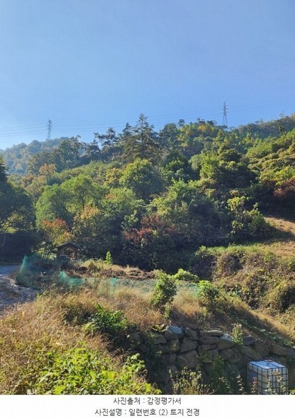 2024타경35155 충청북도 충주시 살미면 세성리 산19-3 임야 경매 이미지