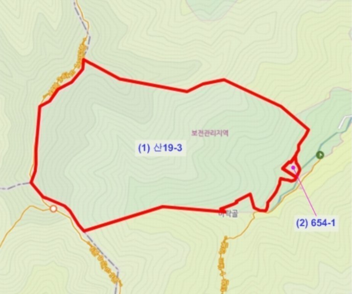 2024타경35155 충청북도 충주시 살미면 세성리 산19-3 임야 경매 이미지
